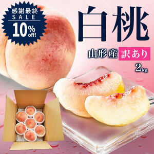yӍŏISALESALE10%OFFz_A͂^  󂠂 R`Y 2kg 6ʁ`10ʑO N[ Yn  󂠂 p ƒp d ł _炩 d  d  ʕ 