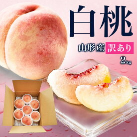 【2026年8月中旬発送 先行早割】 白桃 訳あり 山形県産 2kg 6玉〜10玉前後 クール便 産地直送 桃 訳あり お徳用 ご家庭用 硬いもも 固い桃 柔らかい桃 硬い桃 桃 硬い 送料無料 果物 フルーツ 品種指定不可