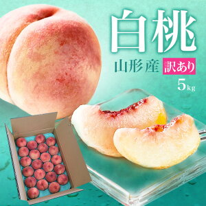 _A͂!^ 󂠂 R`  5kgi16`22ʑOjN[ Ɩ󂠂蓍 ̓ R`̔ R`̓ iws   ʕ t[c 