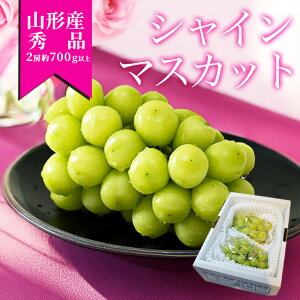 _A͂I^ VC}XJbg Gi 2[ 1[700gȏ Ԃǂ R`Y [ 嗱 Mtg ʕ ϔ Yn Ε Mtgp 蕨 v[g N yY 