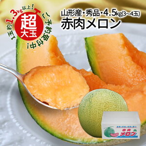 y2026N7{ s\z R`Y ԓ Gi 4.5kgȏ (3`4ʓ) 3LE4L  Mtg p Yn  u Â  a v[g   ̂ ʕ 