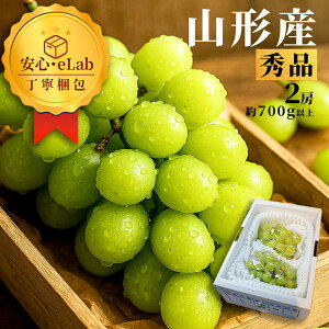 _A͂I^ VC}XJbg Gi 2[ 1[700gȏ Ԃǂ R`Y [ 嗱 Mtg ʕ ϔ Yn Ε Mtgp 蕨 v[g N yY 