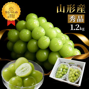 _A͂I^ VC}XJbg 1.2kg 2`3[ Ԃǂ R`Y Gi Ȃ [ 嗱 Mtg ʕ ϔ Yn Ε N s lOK  a c