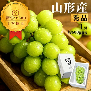 _A͂!^ VC}XJbg Gi 1[ 600gO Mtg Yn R`Y Ȃ 嗱 ϔ Yn s lOK  a ÂĔ hV̓ ʕ