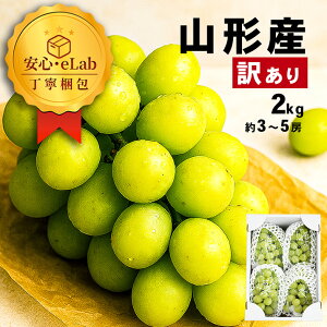 _A͂!^ VC}XJbg 󂠂 2kg 3`5[O Ԃǂ R`Y Yn p ƒp 嗱 R`Yn 󂠂VC}XJbg 2L 햳 