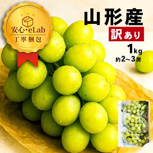 _A͂!^ VC}XJbg 󂠂 1kg 2`3[ R`Y Ԃǂ Yn p ƒp 嗱 R`Yn 킯 A 햳  ʕ uhE  