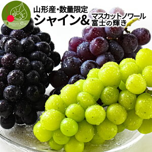 _A͂I^ VC}XJbg×}XJbgm[×xm̋P v1.5kg R`Y Ԃǂ lߍ킹 Gi 嗱 ʕ ϔ Yn Mtg s lOK  a