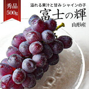 Ԃǂ xm̋P 1[ 500gȏ Gi R`Y Mtg 蕨 VC}XJbg ̂ǂ VC}XJbg