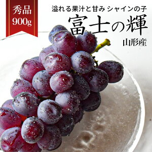 Ԃǂ xm̋P 1[ 900gȏ Gi [ R`Y Mtg 蕨 VC}XJbg ̂ǂ VC}XJbg