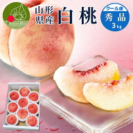 【マラソン期間中エントリーでポイント10倍!】 白桃 3kg 9〜11玉前後 山形県産 ギフト 桃 もも 秀品 贈答…