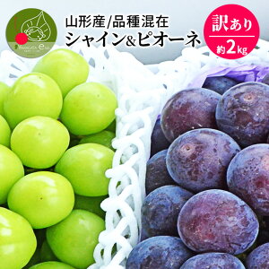 ���i�摜