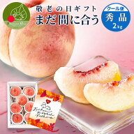 桃 2kg 7玉前後 山形県産 秀品 ギフト 白桃 硬い桃 果物 もも 贈答用 贈り物 プレゼント 産地直送 送料無…