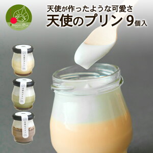 R`lC̃XC[c Mtg Vg̃v 9 Ⓚ  {i soraniwa Mtg v[g ӂӂ