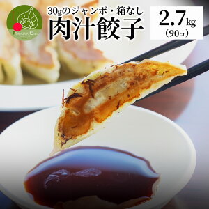 お徳用 本格餃子 肉汁餃子 家庭用 2.7kg(90個入り)ジャンボ餃子 餃子 ギョーザ 冷凍 国産 生餃子 冷凍生餃子 冷凍食品 惣菜 にんにく ニンニク お取り寄せ おつまみ おかず お取り寄せグルメ 本