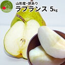 2026年11月中旬発送 先行予約 洋梨 ラフランス 訳あり 山形県産 5kg 約14〜20玉入り お徳用 ワケあり フルーツ 果物の…