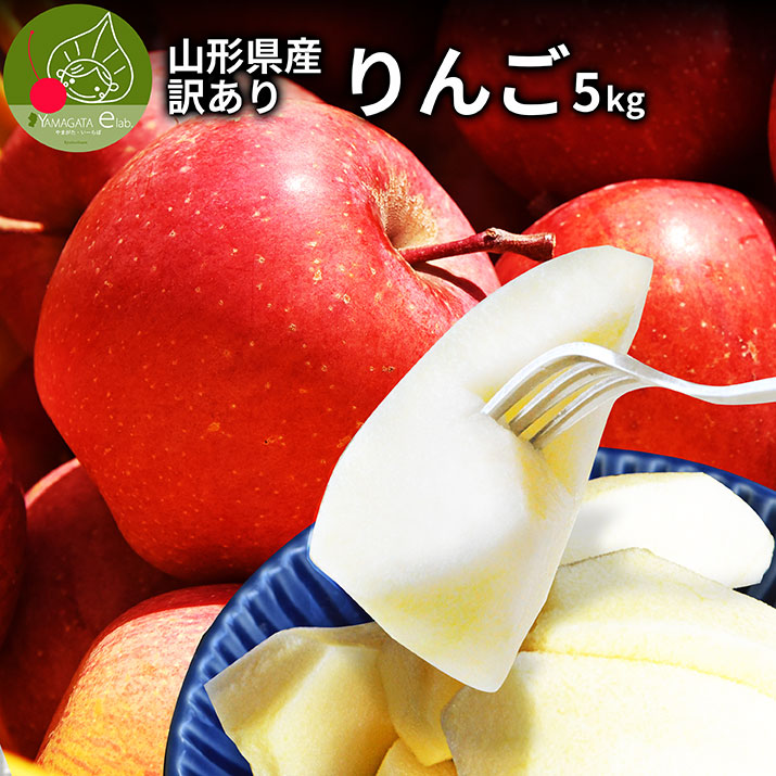 フルーツ 卸直営店（お得な特別割引価格） 【訳あり りんご 箱別8kg 