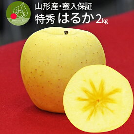 【2024年12月上旬発送 先行早割】 りんご 蜜入り はるか 2kg フルーツ 山形県産 約5～8玉入 贈答用 化粧箱入り ギフト箱 お取り寄せ 名産品 お年賀　【送料無料】 アップル 果物 小玉　甘い香り 御礼 パーティー