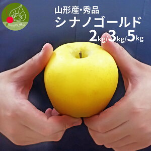 _A͂!^  Gi VimS[h 2kg 3kg 5kgt[c R`Y p 񂲉ϔ Mtg  Yi N Abv ʕ  eÂ  p[