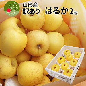 y2025N12{ s\z   ͂邩 󂠂 2kg t[c R`Y 5`10ʓ ϔ ƒp  Yi yz Abv ʕ  Â