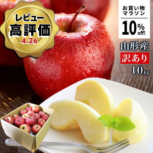 y}\10%OFFIz_ATӂ͂I^  󂠂 10kg  Tӂ T ӂ R`Y Yn S p ƒp 10L  ӂ Â 