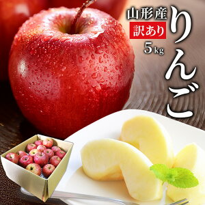 _Aӂ͂!^  󂠂 5kg  Tӂ T ӂ R`Y Yn S p ƒp 5L W W[X R`甭 Â ʕ y R