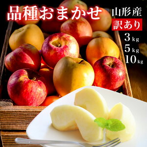  󂠂 10kg 5kg 3kg i킨C R`Y Tӂ T ӂ VimS[h Hf Yn ƒp p Â ʕ 󂠂 t[c 󂠂   10kg 