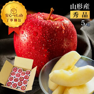 y2025N11{Es\z  Tӂ 5kg Gi Mtg R`Y t[c Gi 񂲑p R`  ϔ Mtg  Ε Ε Nn N  A