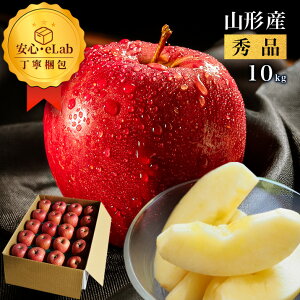 y2025N11{Es\z   Tӂ 10kg t[c R`Y Gi XerA͔| 񂲑p 񂲉ϔ Mtg 񂹂 Yi