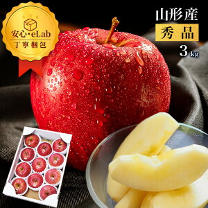 y2025N11{Es\zt[c Mtg   Tӂ Gi 3kg R`Y R`  SI̐gp̂ XerA͔| 񂲑p ϔ Mtg 