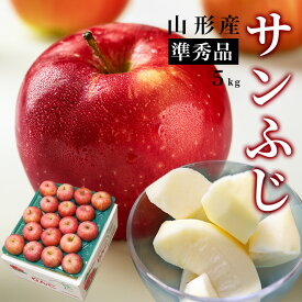 【2025年11月下旬発送・先行予約】 りんご サンふじ 5kg 山形県産 サンふじ 訳あり では不安な方必見 りんご化粧箱入り お取り寄せ 名産品 特産りんご 通販 生産地直送 送料無料 果物 進学 内祝い パーティーお歳暮