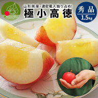 りんご 高徳(こうとく) 極小 独り占め 約1.5kg 約12〜15玉入 山形県産 小玉りんご【2026年11月上旬〜発送…