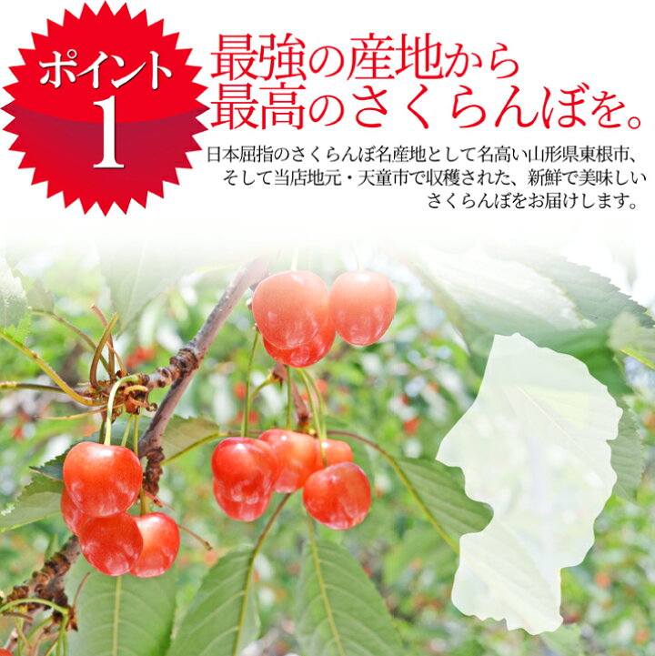 楽天市場】さくらんぼ 紅秀峰 2L 特秀 1kg (500g×2)山形県産 産地 