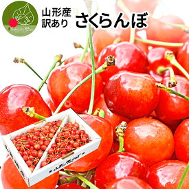 ＼500円OFFクーポン／ さくらんぼ 1kg お徳用 佐藤錦 or 紅秀峰 他 山形県産 バラ詰めお一人様2箱まで 家庭用 数量限定 産地直送 訳あり サイズ混合 送料無料 ※遠方へは別途送料がかかります 品種の指定はできません 果物 ふっこう復袋