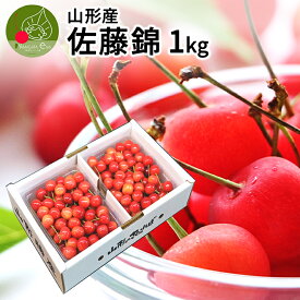 ＼只今、お届け中／ さくらんぼ 佐藤錦 贈答品 1kg（500g×2）なんと、名水百選の水を使って栽培 山形県 東根市から産地直送 L 2Lサイズ 送料無料 同梱不可 日時指定不可 果物 食べ物