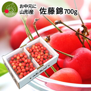 y2026N6{ s\z   Gi 2L/L 700g(350g×2) t[cMtg R`Y Yn ϔ v[g Mtg iۏ i ̂  ʕ Hו ̓ 