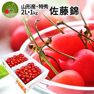 y2026N6{ s\z 2L G   i 1kgi500g×2jSI̐gč͔|Iiۏ R` Yn  2LTCY yszyws