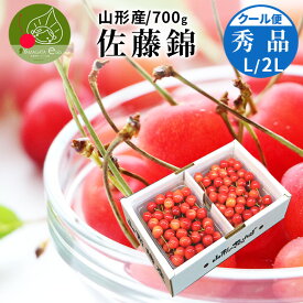 さくらんぼ 佐藤錦 秀品 2L/L 700g(350g×2) フルーツ ギフト 山形県産 産地直送 化粧箱入 プレゼント ギフト 品質保証 贈答品 のし 送料無料 果物 食べ物 父の日 お中元 御中元【2026年6月中旬発送 先行早割】