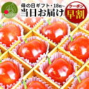 母の日 ギフト さくらんぼ 佐藤錦 大粒 佐藤錦 特秀 L玉 2L玉 24粒入 18粒入 山形県産 化粧箱入 産地直送 手詰め サクランボ 送料無料 同梱不可 加温 フルーツギフト 母の日ギフト 朝採り 果物 プレゼント お花 贈答用 【母の日 早割 今なら当日お届け!】