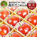 【母の日 ギフト 遅れてごめんね！】 さくらんぼ 佐藤錦 大粒 佐藤錦 特秀 L玉 2L玉 24粒入 18粒入 山形県産 化粧箱入…