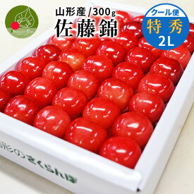 ＼ただ今、お届け中!／ さくらんぼ 佐藤錦 特秀 2L 鏡詰め 300g 山形県産 産地直送 化粧箱入 プレゼント 産地直送 手詰め メッセージカード ギフトカード付 花以外ならこれ 送料無料 食べ物 父の日