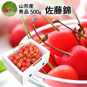 yGg?ōP5{Iz y2026N6{s\z   or gG i 500g or 300g×1pbN Gi L ̂ Hו lC  s Yn R`Y ̓ 