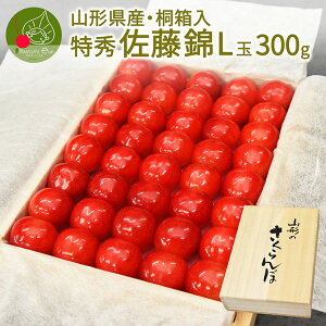 y2026N4{ s\z G ˔ ڍ LTCY l300g R`Y Yn ϔ v[g Yn l Mtg vo t[cMtg  j