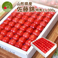 さくらんぼ 佐藤錦 特秀 Lサイズ 鏡詰め 300g フルーツギフト 山形県 東根 天童市 から産地直送 すべて手…