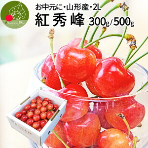 y2026N6{ s\z gG 2L Gi 500g 300g ϔ R`Y 嗱 т̎͂ gG  lC  s Yn  䒆