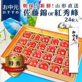 ＼お中元おすすめ!／ さくらんぼ 佐藤錦 or 紅秀峰 大粒 佐藤錦 特秀 L玉 2L玉 24粒入 山形県産 化粧箱入 産地直送 手詰め サクランボ 送料無料 同梱不可 加温 フルーツギフト 果物 プレゼント お花 贈答用