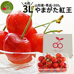 y2026N6{ s\z R`Y  g Gi 3L 300g ol (25`30O) Mtg 嗱 2L 傫 ϔ Yn l voɎc  s 