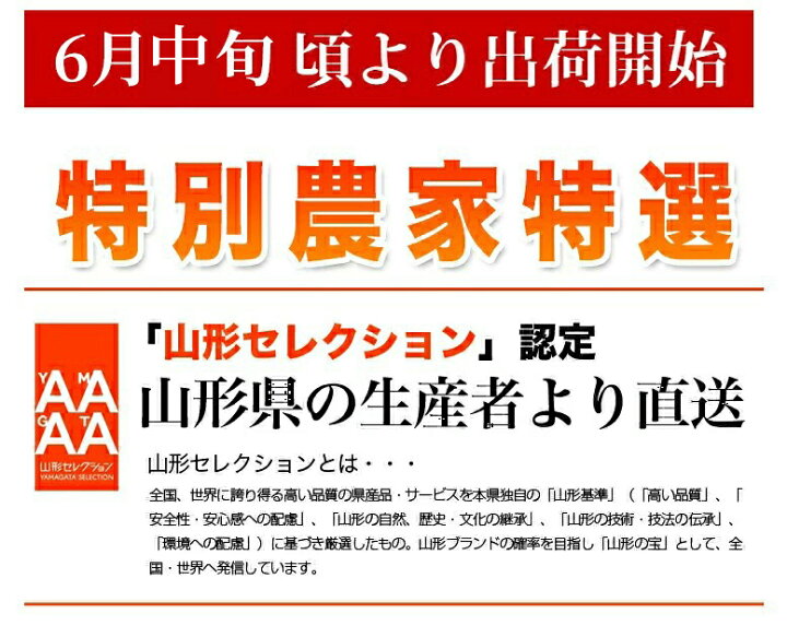 楽天市場】＼エントリーで最大100%ポイントバック／【2025年6月中旬 
