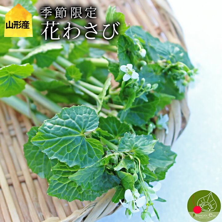 楽天市場】【2023年2月下旬発送・先行予約】 花わさび 約1kgバラ詰め 