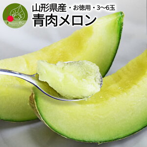 y2026N7{ s\z R`Y  p 4.5kgȏ (3`6ʓ) 󂠂 GED Yn Y Â  | a p[eB[ v[g 