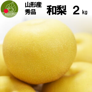 a 2kg Gi 4`8ʓ K L Â  R` y9{Es\z R`Y Mtg ϔ MtgBOX  Ȃ iV i c ފ v[g Â ̂